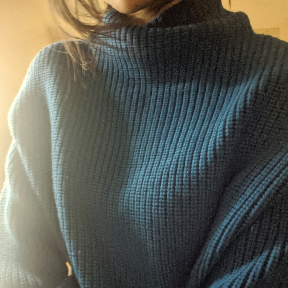 Aritzia Wilfred Montpellier Sweater
